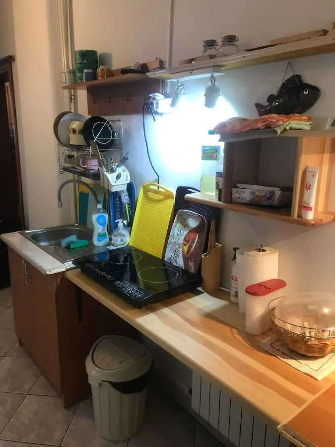 A1Willa Skoczek Apartament Poludniowy 2 Pokojowy Z Plus Aneks Kuchenny Promocja Pobyt Na Termach Dla 2 Osob Gratis Zakopane Appartement