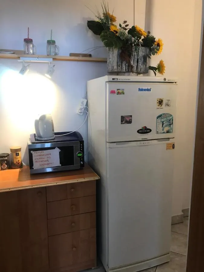 A1Willa Skoczek Apartament Poludniowy 2 Pokojowy Z Plus Aneks Kuchenny Promocja Pobyt Na Termach Dla 2 Osob Gratis Zakopane 0*,