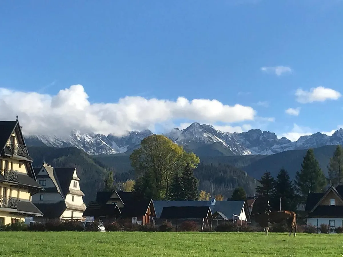 A1Willa Skoczek Apartament Poludniowy 2 Pokojowy Z Plus Aneks Kuchenny Promocja Pobyt Na Termach Dla 2 Osob Gratis Zakopane Appartement