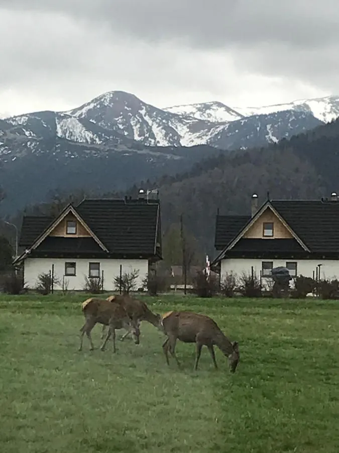 A1Willa Skoczek Apartament Poludniowy 2 Pokojowy Z Plus Aneks Kuchenny Promocja Pobyt Na Termach Dla 2 Osob Gratis Zakopane